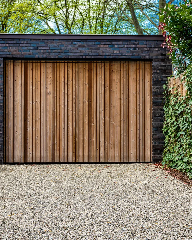 Illustration template Acacia